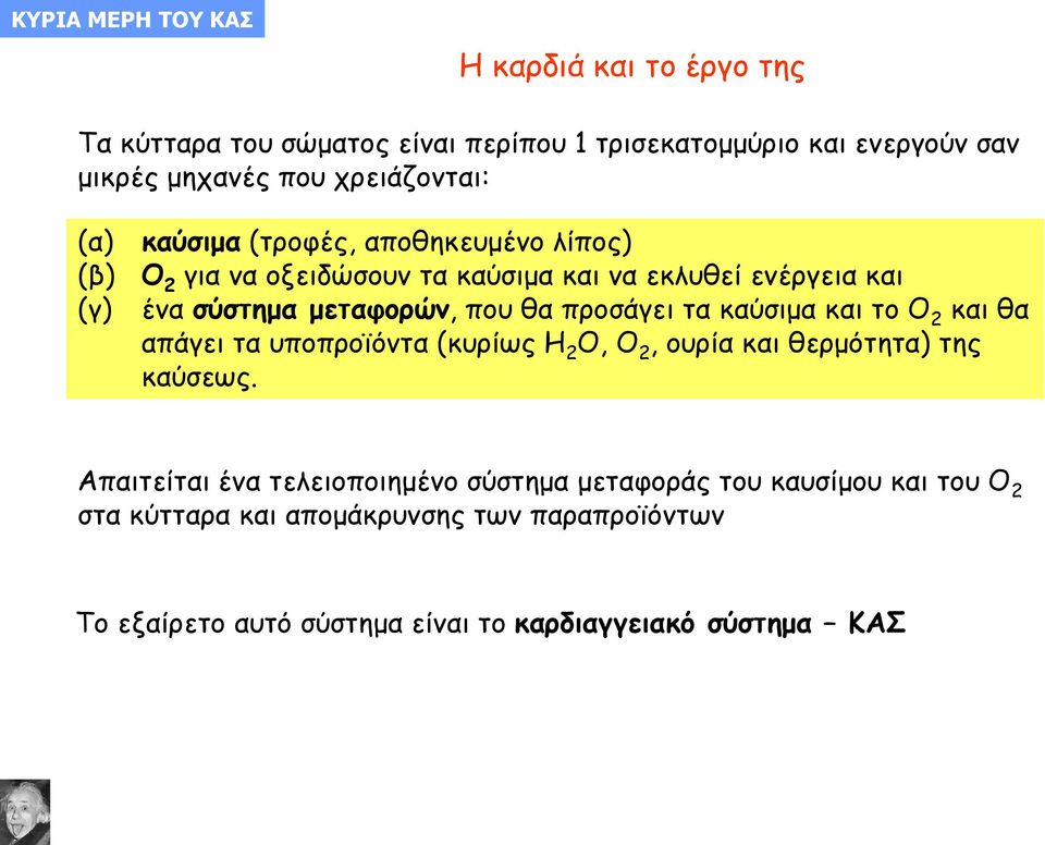 που θα προσάγει τα καύσιμα και το Ο 2 και θα απάγει τα υποπροϊόντα (κυρίως Η 2 Ο, Ο 2, ουρία και θερμότητα) της καύσεως.