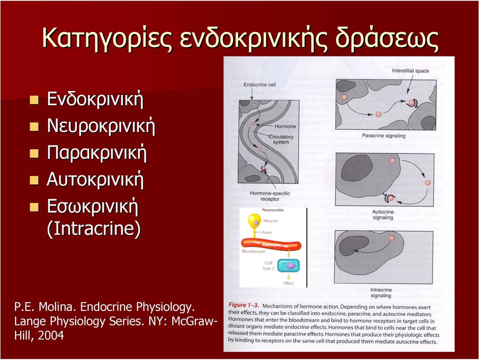 Εσωκρινική (Intracrine) P.E. Molina.