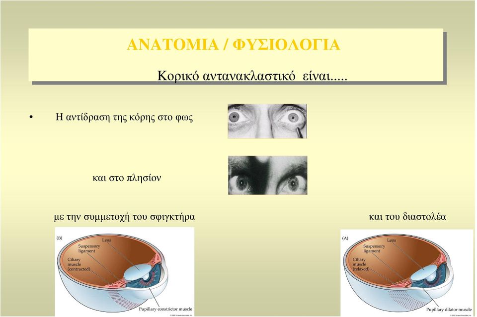 .. H αντίδραση της κόρης στο φως και
