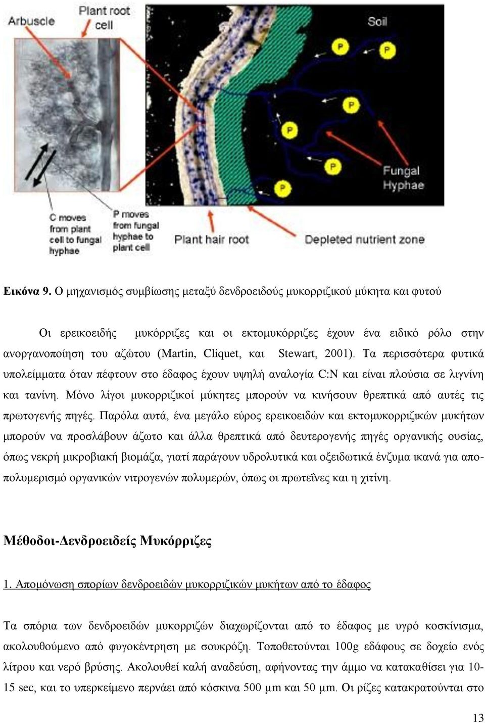 Stewart, 2001). Τα περισσότερα φυτικά υπολείμματα όταν πέφτουν στο έδαφος έχουν υψηλή αναλογία C:N και είναι πλούσια σε λιγνίνη και τανίνη.