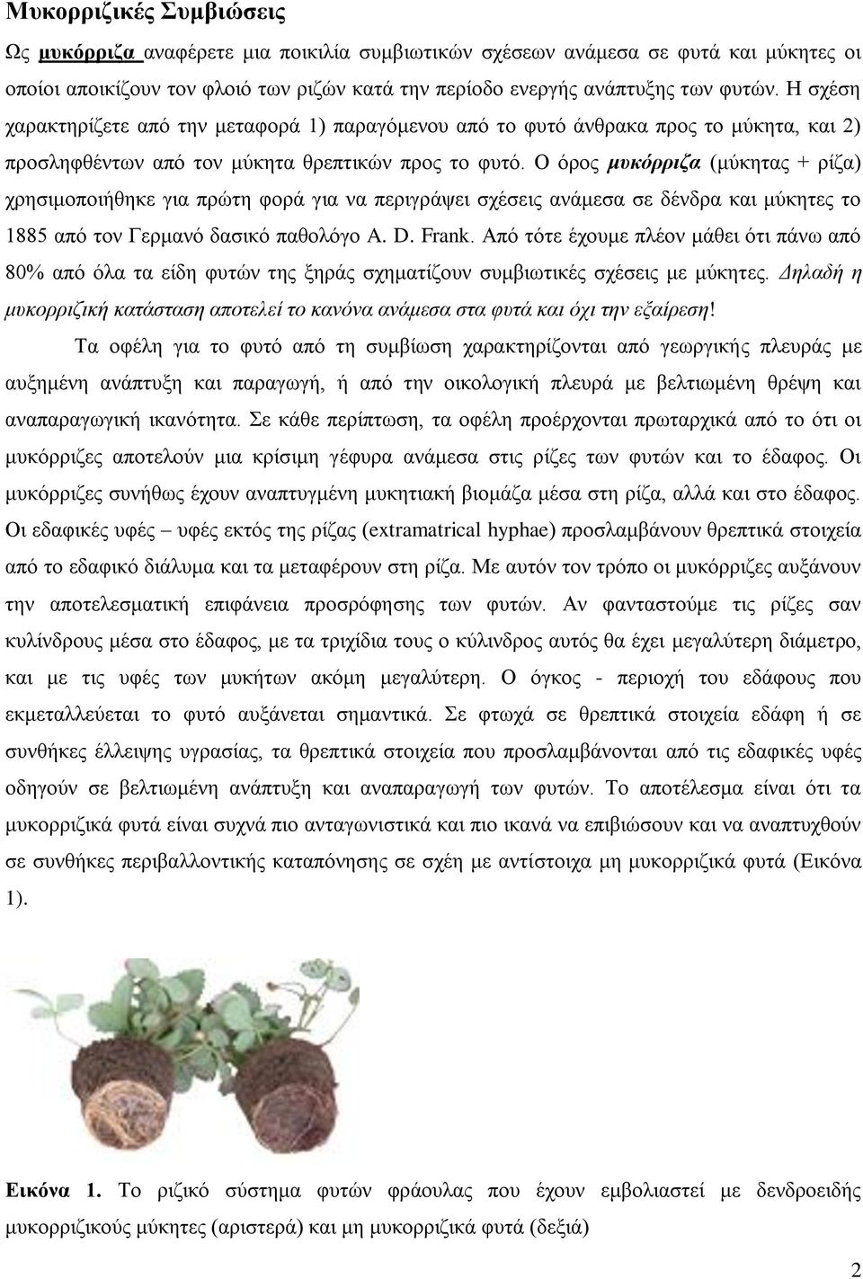 Ο όρος μυκόρριζα (μύκητας + ρίζα) χρησιμοποιήθηκε για πρώτη φορά για να περιγράψει σχέσεις ανάμεσα σε δένδρα και μύκητες το 1885 από τον Γερμανό δασικό παθολόγο A. D. Frank.