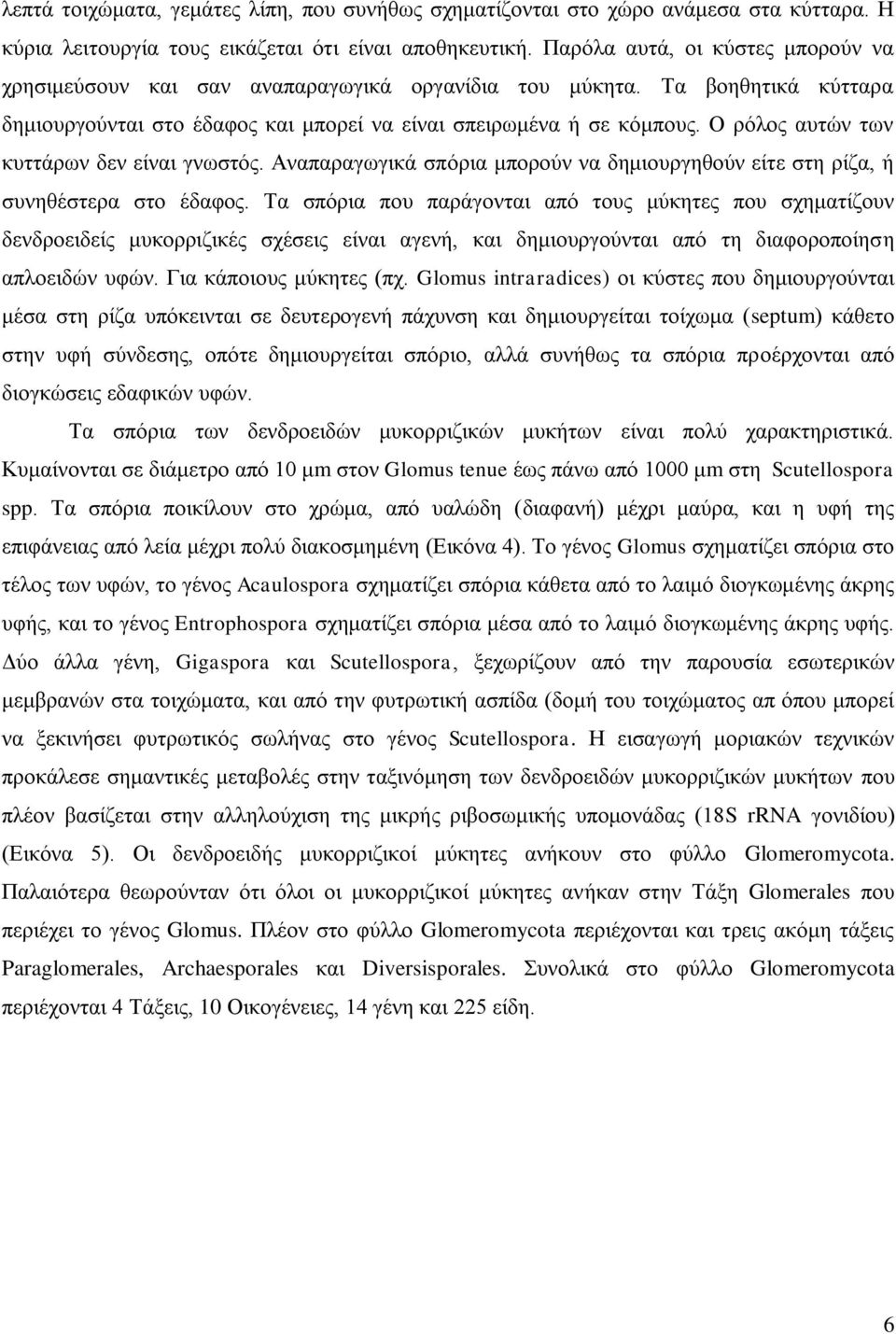 Ο ρόλος αυτών των κυττάρων δεν είναι γνωστός. Αναπαραγωγικά σπόρια μπορούν να δημιουργηθούν είτε στη ρίζα, ή συνηθέστερα στο έδαφος.