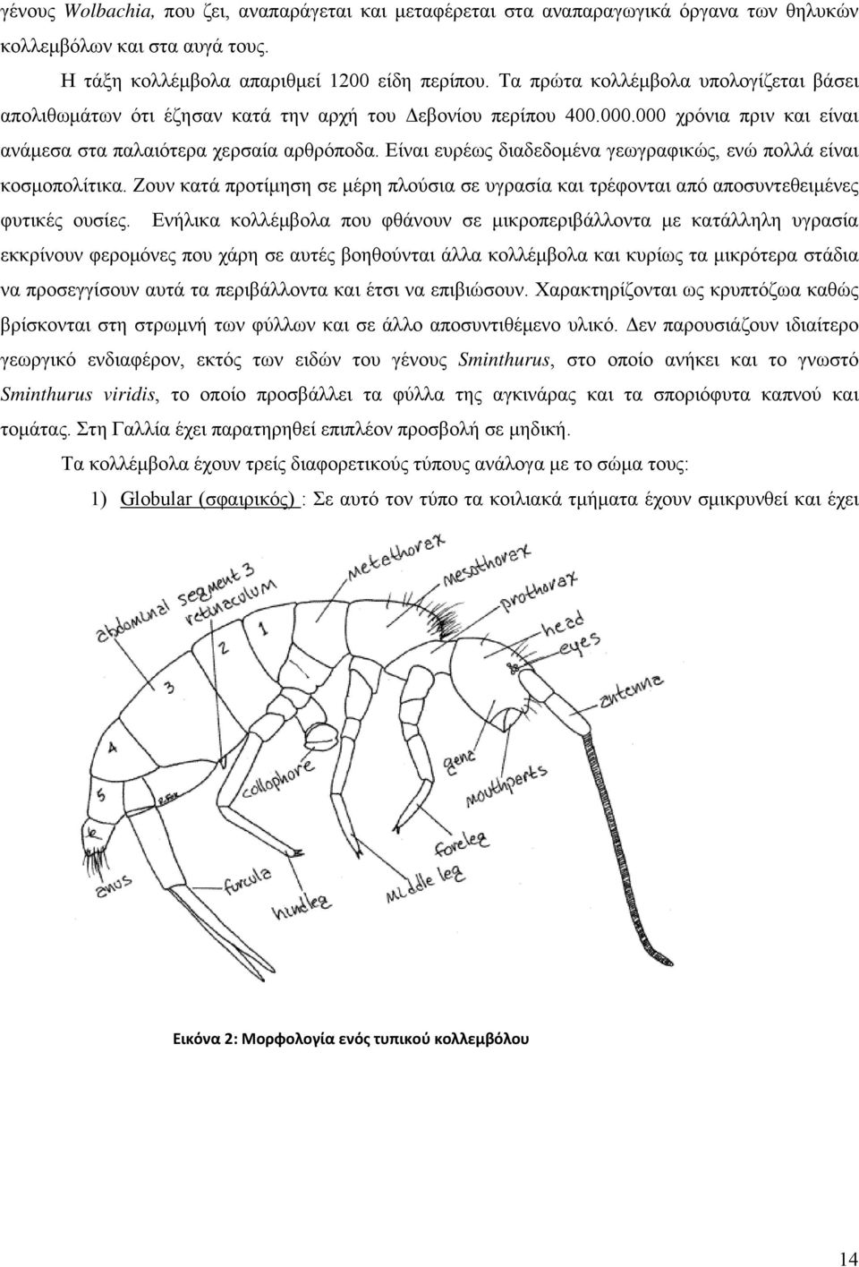 Είναι ευρέως διαδεδομένα γεωγραφικώς, ενώ πολλά είναι κοσμοπολίτικα. Ζουν κατά προτίμηση σε μέρη πλούσια σε υγρασία και τρέφονται από αποσυντεθειμένες φυτικές ουσίες.