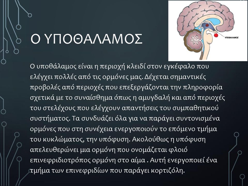 που ελέγχουν απαντήσεις του συμπαθητικού συστήματος.