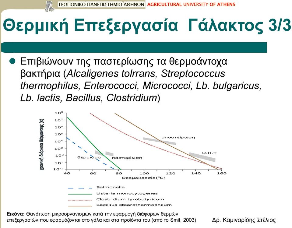 bulgaricus, Lb.