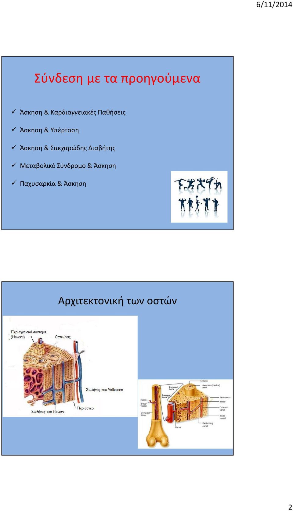 Άσκηση & Σακχαρώδης Διαβήτης Μεταβολικό