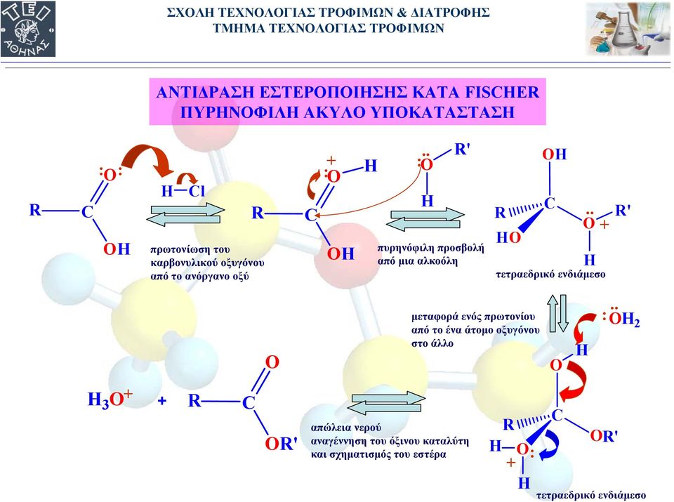 . + H τετραεδρικό ενδιάμεσο ' μεταφορά ενός πρωτονίου απότοέναάτομοοξυγόνου στο άλλο H.