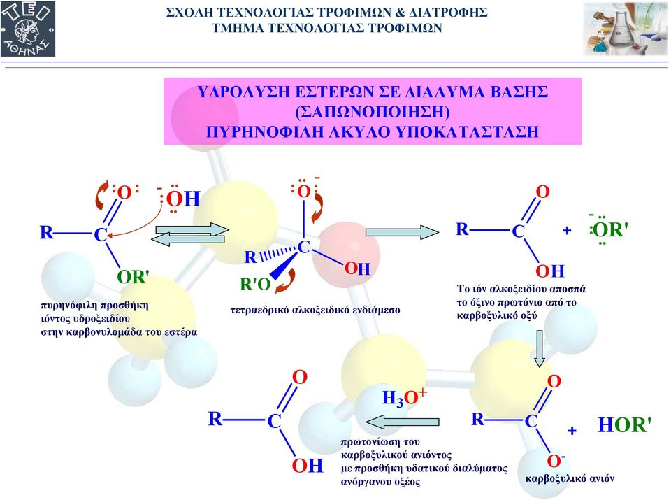 . : - H ' τετραεδρικό αλκοξειδικό ενδιάμεσο + : ' H Το ιόν αλκοξειδίου αποσπά το όξινο πρωτόνιο από