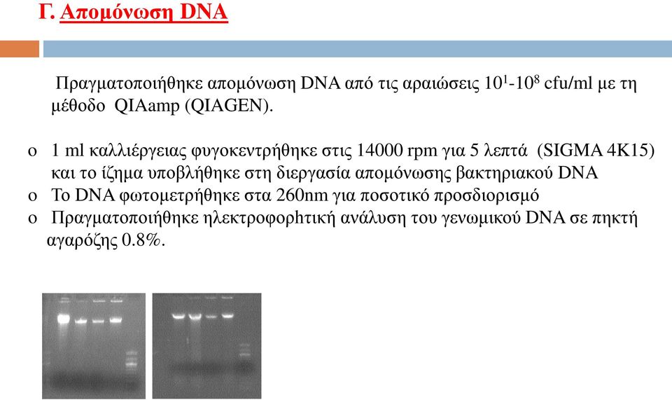 o 1 ml καλλιέργειας φυγοκεντρήθηκε στις 14000 rpm για 5 λεπτά (SIGMA 4K15) και το ίζημα υποβλήθηκε