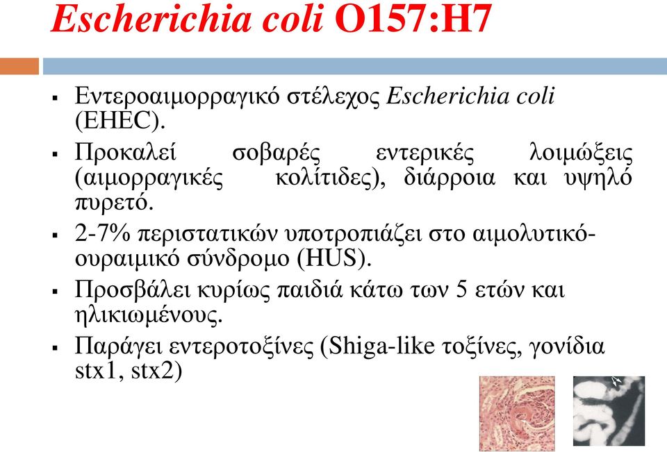 2-7% περιστατικών υποτροπιάζει στο αιμολυτικόουραιμικό σύνδρομο (HUS).