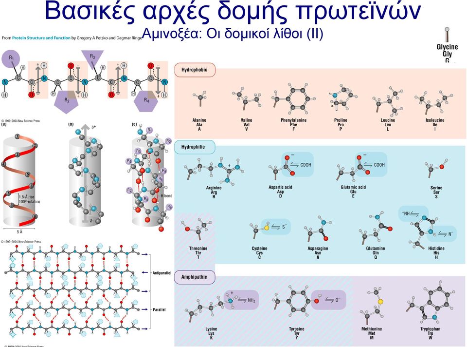 δοµικοί λίθοι (ΙΙ) ΒΙΟ 230