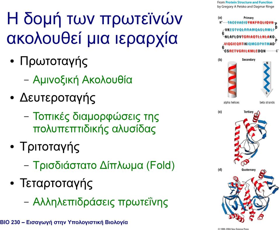 Τριτοταγής Αµινοξική Ακολουθία Τρισδιάστατο Δίπλωµα (Fold)