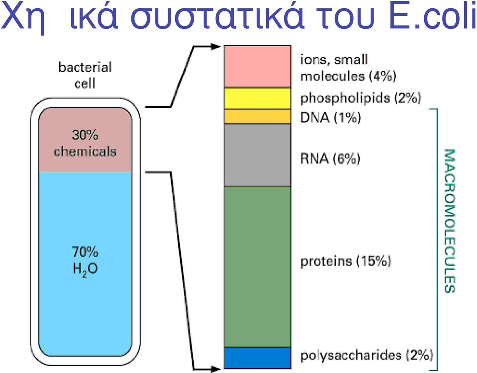 του E.
