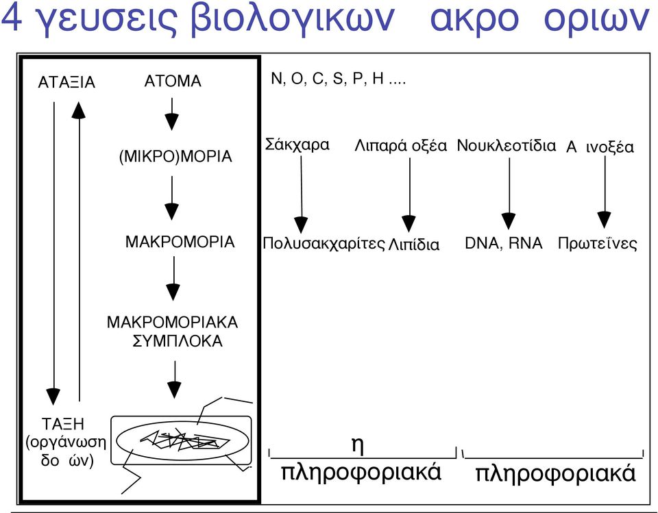 ΜΑΚΡΟΜΟΡΙΑ Πολυσακχαρίτες Λιπίδια DNA, RNA Πρωτεΐνες