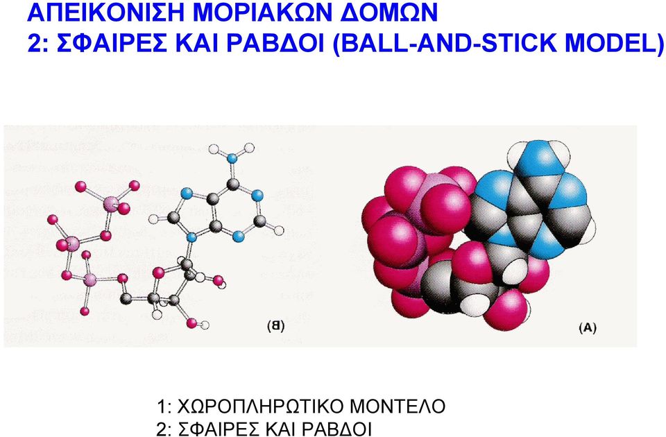 (BALL-AND-STICK MODEL) 1: