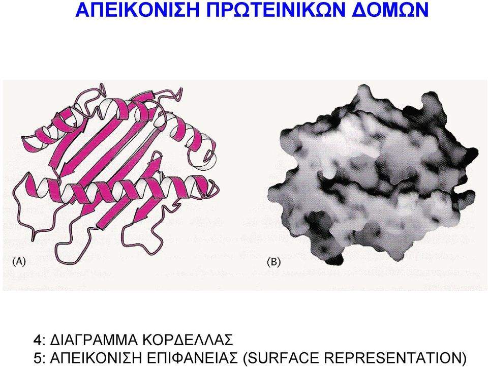 ΚΟΡΔΕΛΛΑΣ 5: ΑΠΕΙΚΟΝΙΣΗ