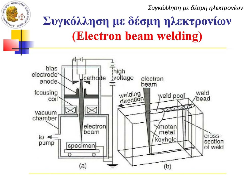 (Electron beam