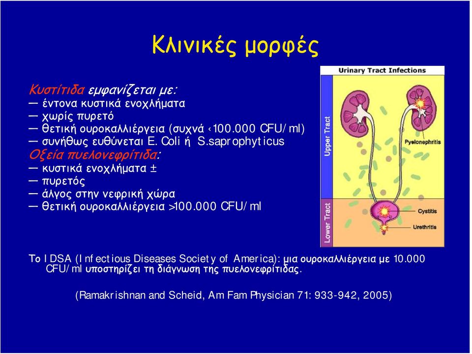 saprophyticus Οξεία πυελονεφρίτιδα: κυστικά ενοχλήματα ± πυρετός άλγος στην νεφρική χώρα θετική ουροκαλλιέργεια >100.