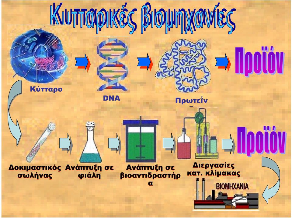 Ανάπτυξη σε φιάλη Ανάπτυξη