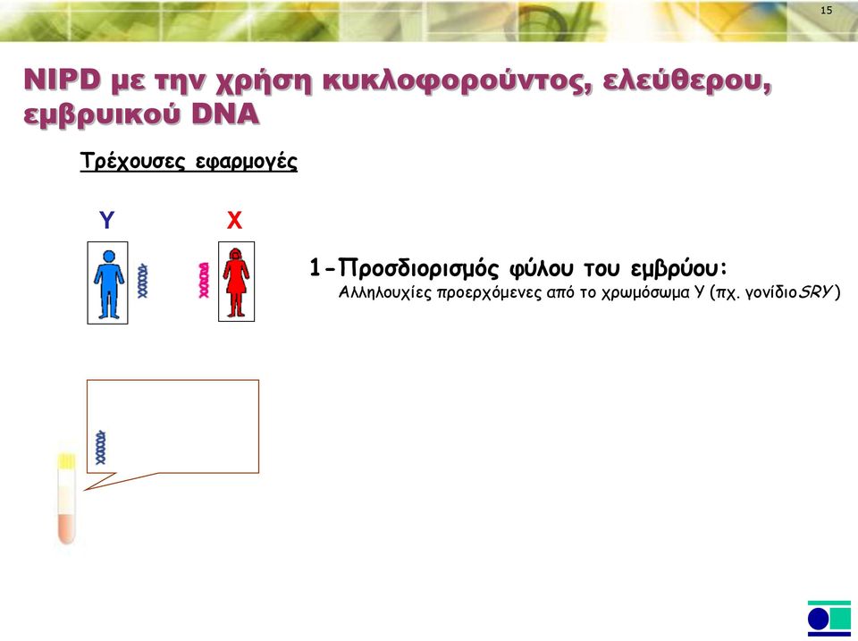 Y X 1-Προσδιορισμός φύλου του εμβρύου:
