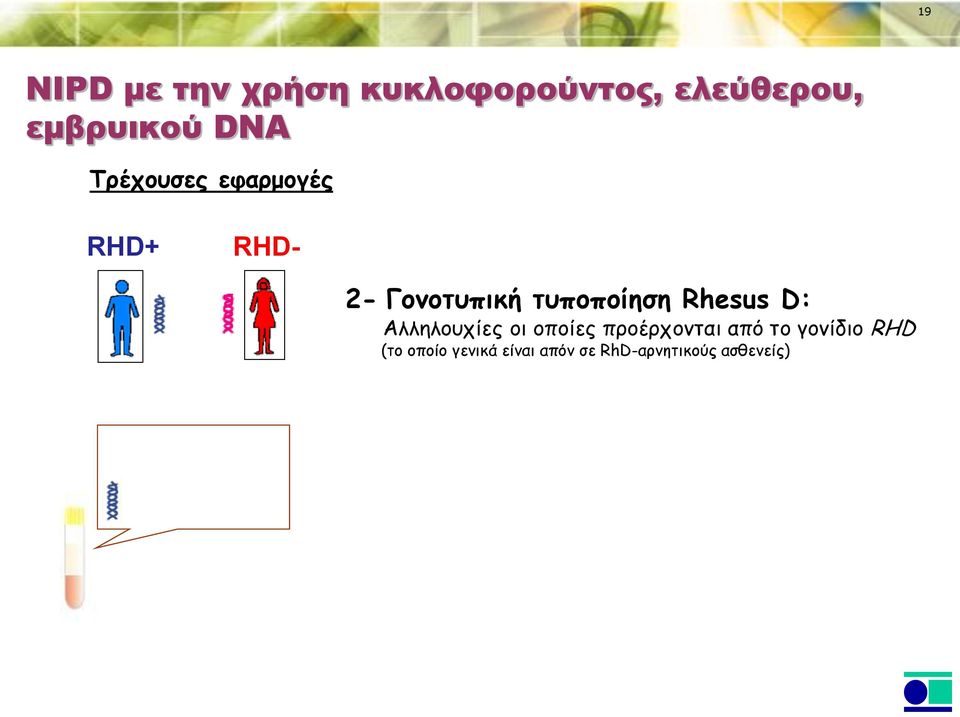 Rhesus D: Αλληλουχίες οι οποίες προέρχονται από το γονίδιο