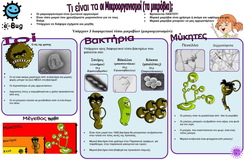 διαφορετικοί τύποι βακτηρίων που φαίνονται σαν: Πενικίλλιο Δερματόφυτα Οι ιοί είναι ακόμα μικρότεροι από τα βακτήρια και μερικές φορές μπορεί να ζουν ΜΕΣΑ στα βακτήρια! Σπείρες (ελατήρια) (π.
