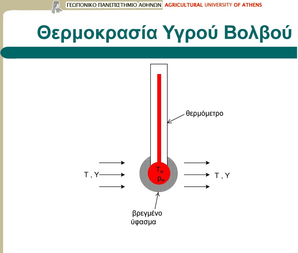 θερμόμετρο,