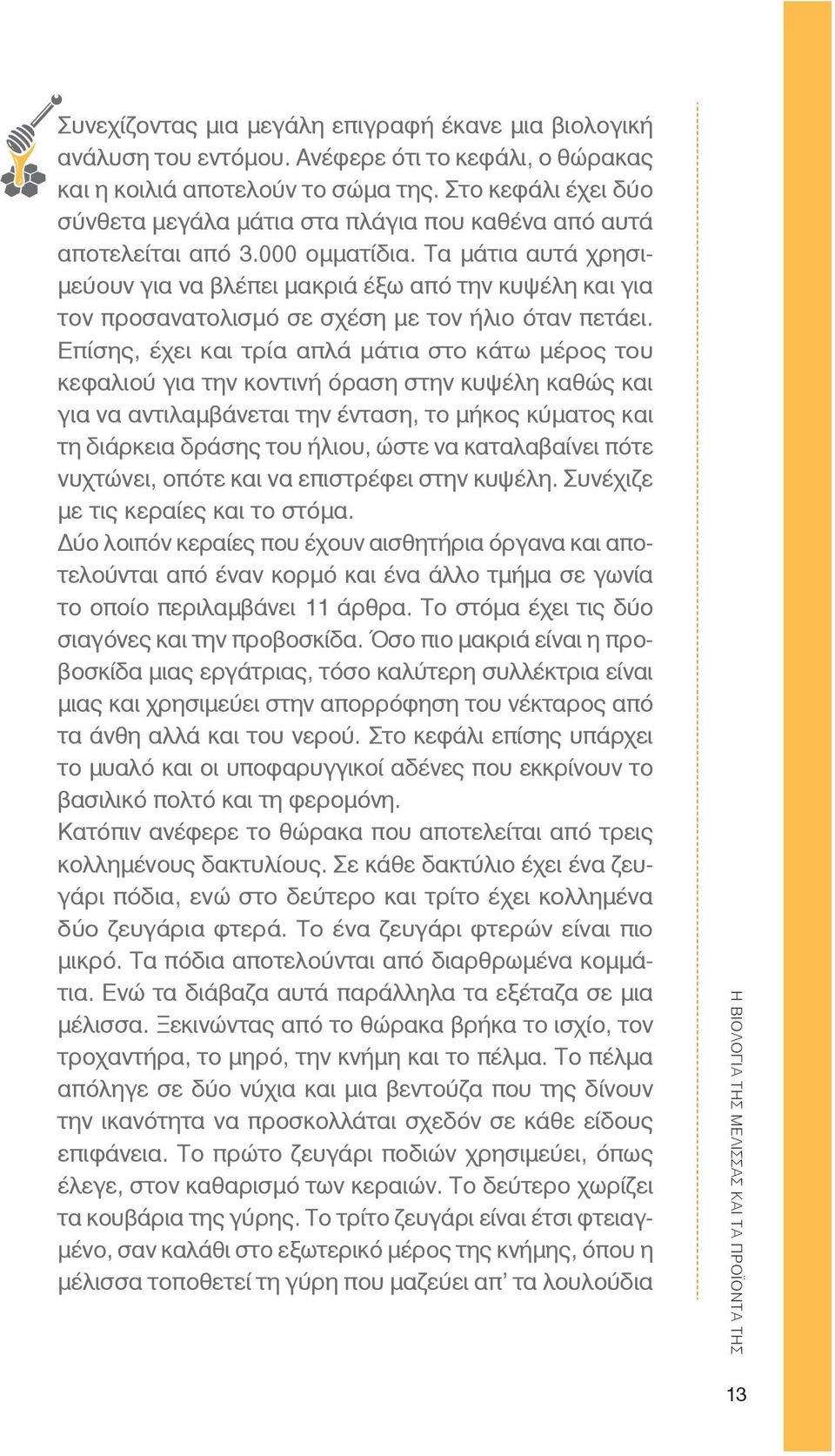 Τα μάτια αυτά χρησιμεύουν για να βλέπει μακριά έξω από την κυψέλη και για τον προσανατολισμό σε σχέση με τον ήλιο όταν πετάει.