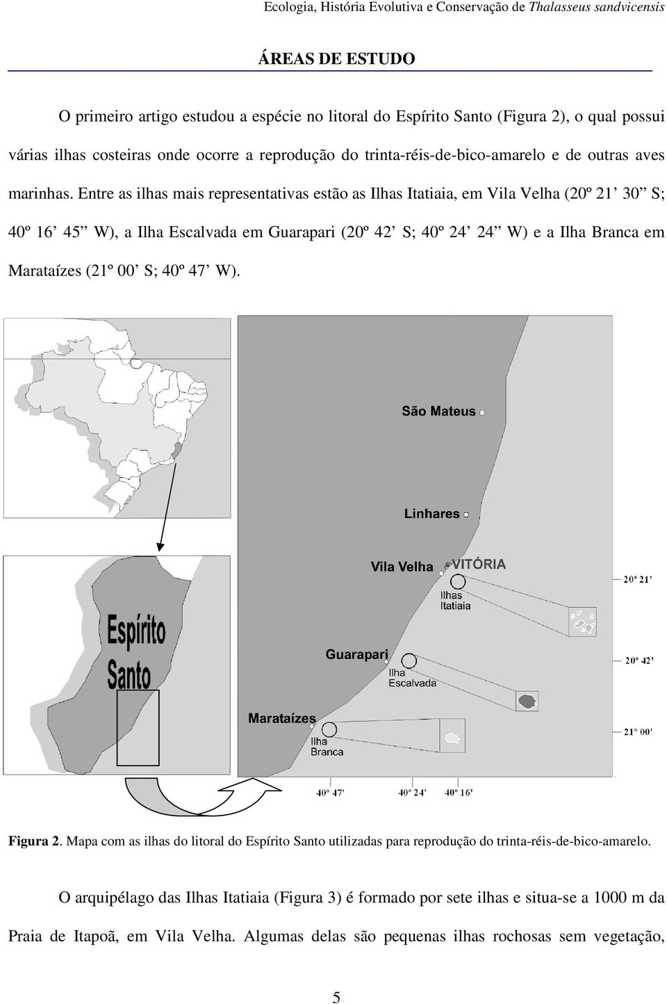 Entre as ilhas mais representativas estão as Ilhas Itatiaia, em Vila Velha (20º 21 30 S; 40º 16 45 W), a Ilha Escalvada em Guarapari (20º 42 S; 40º 24 24 W) e a Ilha Branca em