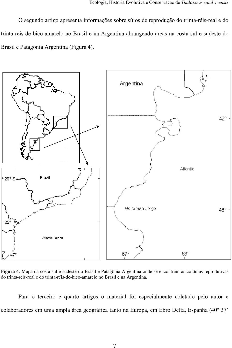 Mapa da costa sul e sudeste do Brasil e Patagônia Argentina onde se encontram as colônias reprodutivas do trinta-réis-real e do