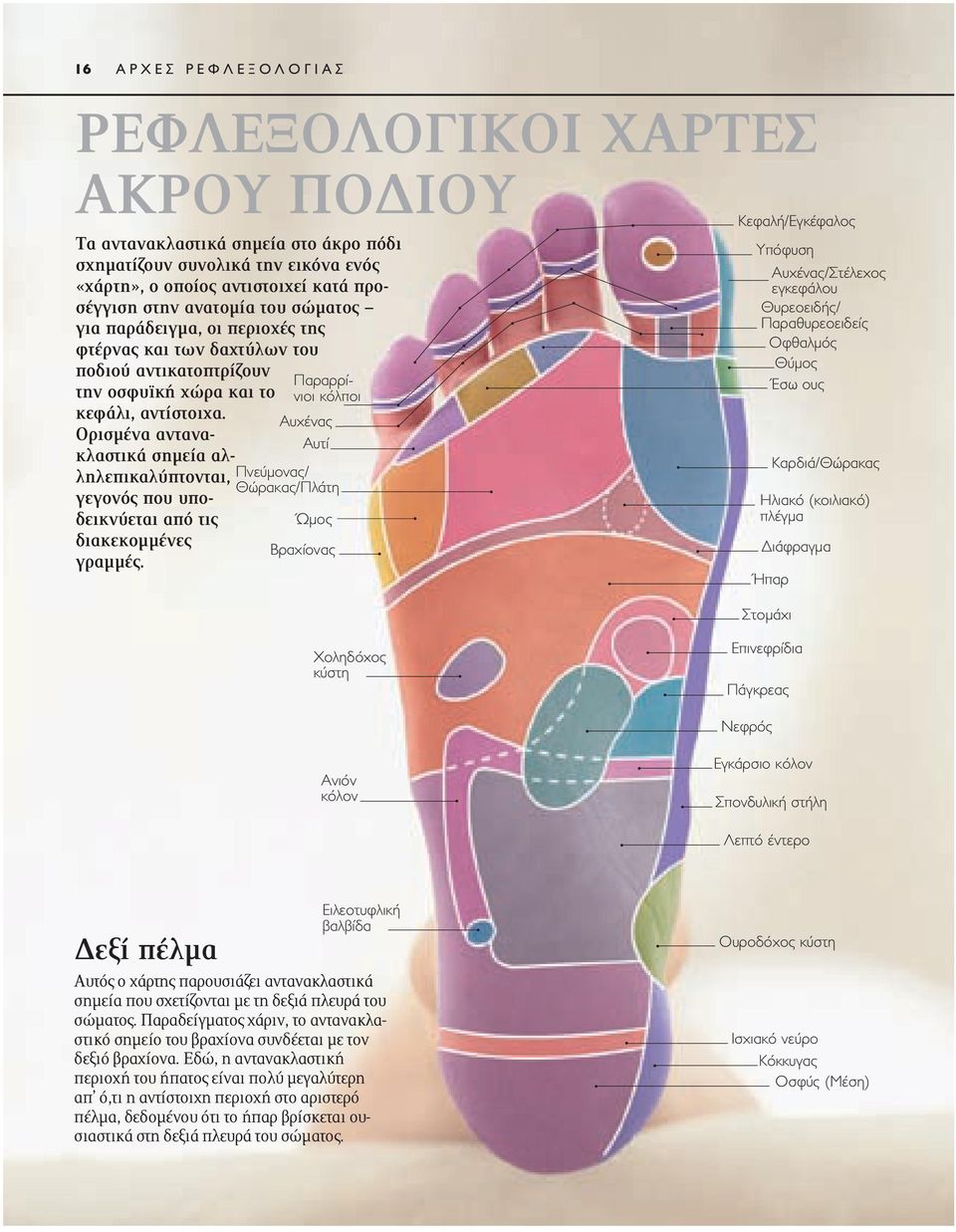ορισμένα αντανακλαστικά σημεία αλληλεπικαλύπτονται, γεγονός που υποδεικνύεται από τις διακεκομμένες γραμμές.