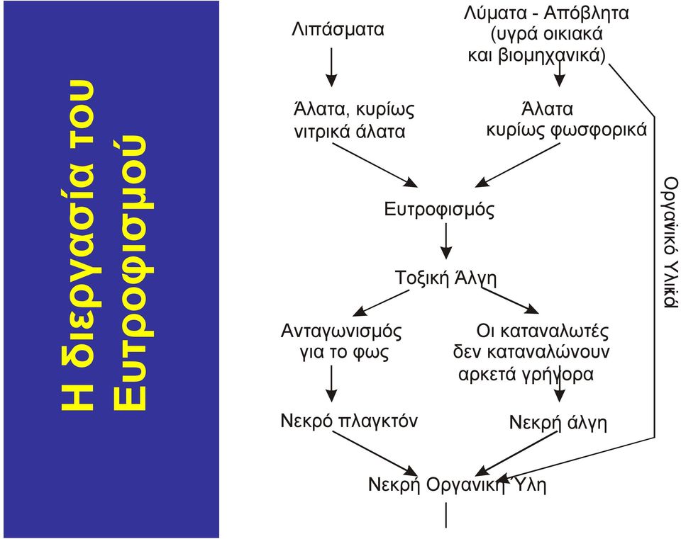 πλαγκτόν Ευτροφισμός Τοξική Άλγη Άλατα κυρίως φωσφορικά Οι καταναλωτές
