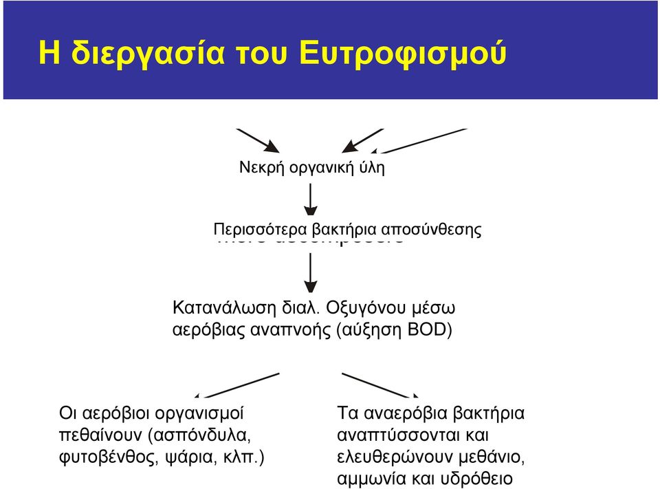 Οξυγόνου μέσω αερόβιας αναπνοής (αύξηση BOD) Οι αερόβιοι οργανισμοί πεθαίνουν (ασπόνδυλα, φυτοβένθος, ψάρια, κλπ.