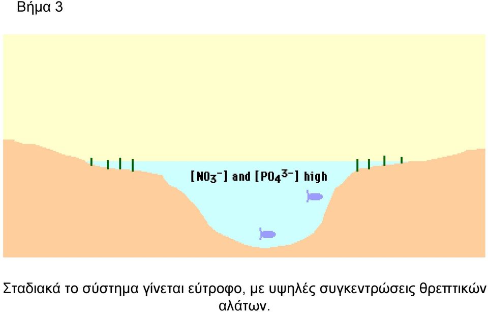 εύτροφο, με υψηλές