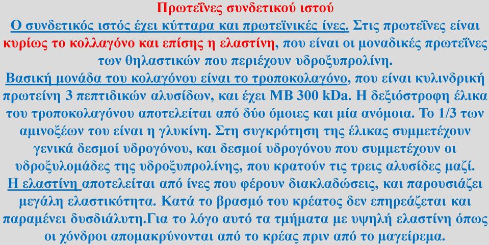 Βασική μονάδα του κολαγόνου είναι το τροποκολαγόνο, που είναι κυλινδρική πρωτείνη 3 πεπτιδικών αλυσίδων, και έχει ΜΒ 300 kda.