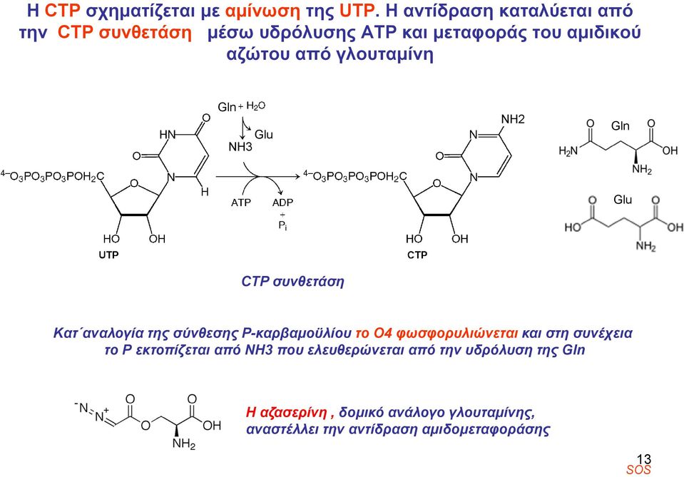 γλουταμίνη Gln Glu H3 H2 Gln Glu CTP συνθετάση Kατ αναλογία της σύνθεσης Ρ-καρβαμοϋλίου το Ο4