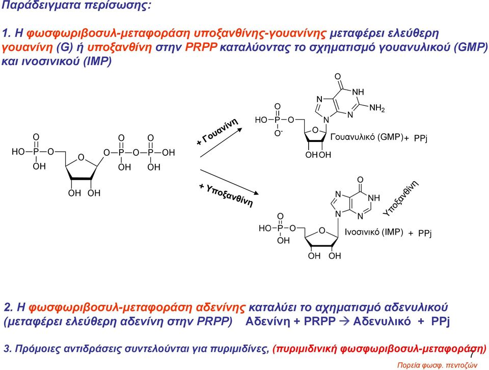γουανυλικού (GMP) και ινοσινικού (IMP) H P H P H P H H Γουανυλικό (GMP) + PPj H H Ινοσινικό (IMP) + PPj 2.