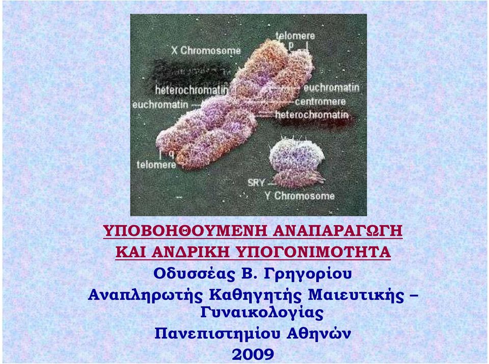 Γρηγορίου Αναπληρωτής Καθηγητής