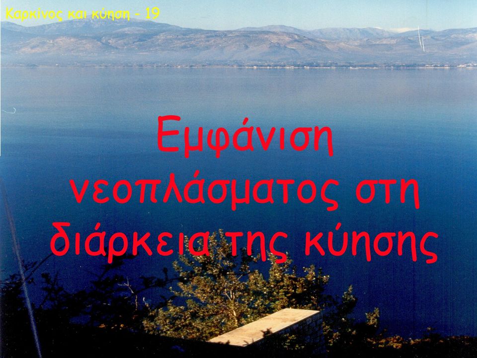 Εμφάνιση