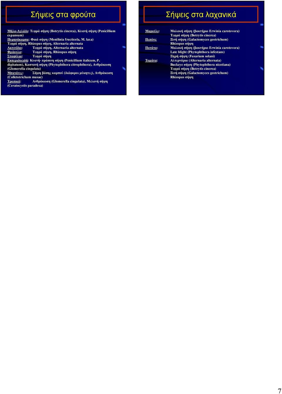 (Penicillium italicum,, P.
