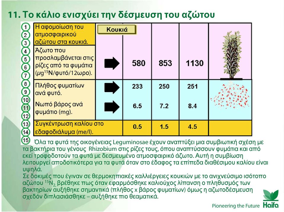 Κουκιά Όλα τα φυτά της οικογένειας Leguminosae έχουν αναπτύξει μια συμβιωτική σχέση με τα βακτήρια του γένους Rhizobium στις ρίζες τους, όπου αναπτύσσουν φυμάτια και από εκεί τροφοδοτούν τα φυτά με