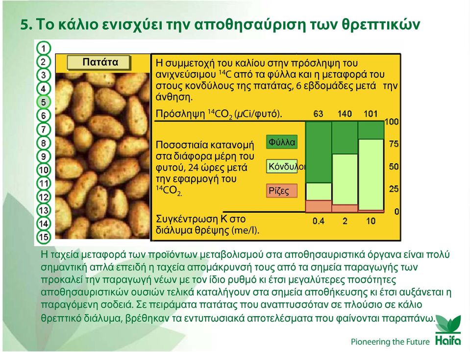 Η ταχεία μεταφορά των προϊόντων μεταβολισμού στα αποθησαυριστικά όργανα είναι πολύ σημαντική απλά επειδή η ταχεία απομάκρυνσή τους από τα σημεία παραγωγής των προκαλεί την παραγωγή νέων με τον ίδιο