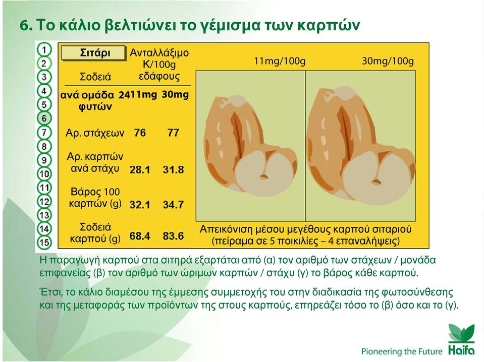 επαναλήψεις) Η παραγωγή καρπού στα σιτηρά εξαρτάται από (α) τον αριθμό των στάχεων / μονάδα επιφανείας (β) τον αριθμό των ώριμων καρπών / στάχυ (γ) το