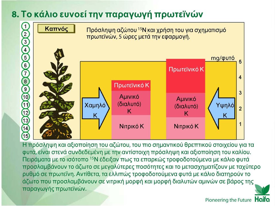 για τα φυτά, είναι στενά συνδεδεμένη με την αντίστοιχη πρόσληψη και αξιοποίηση του καλίου.