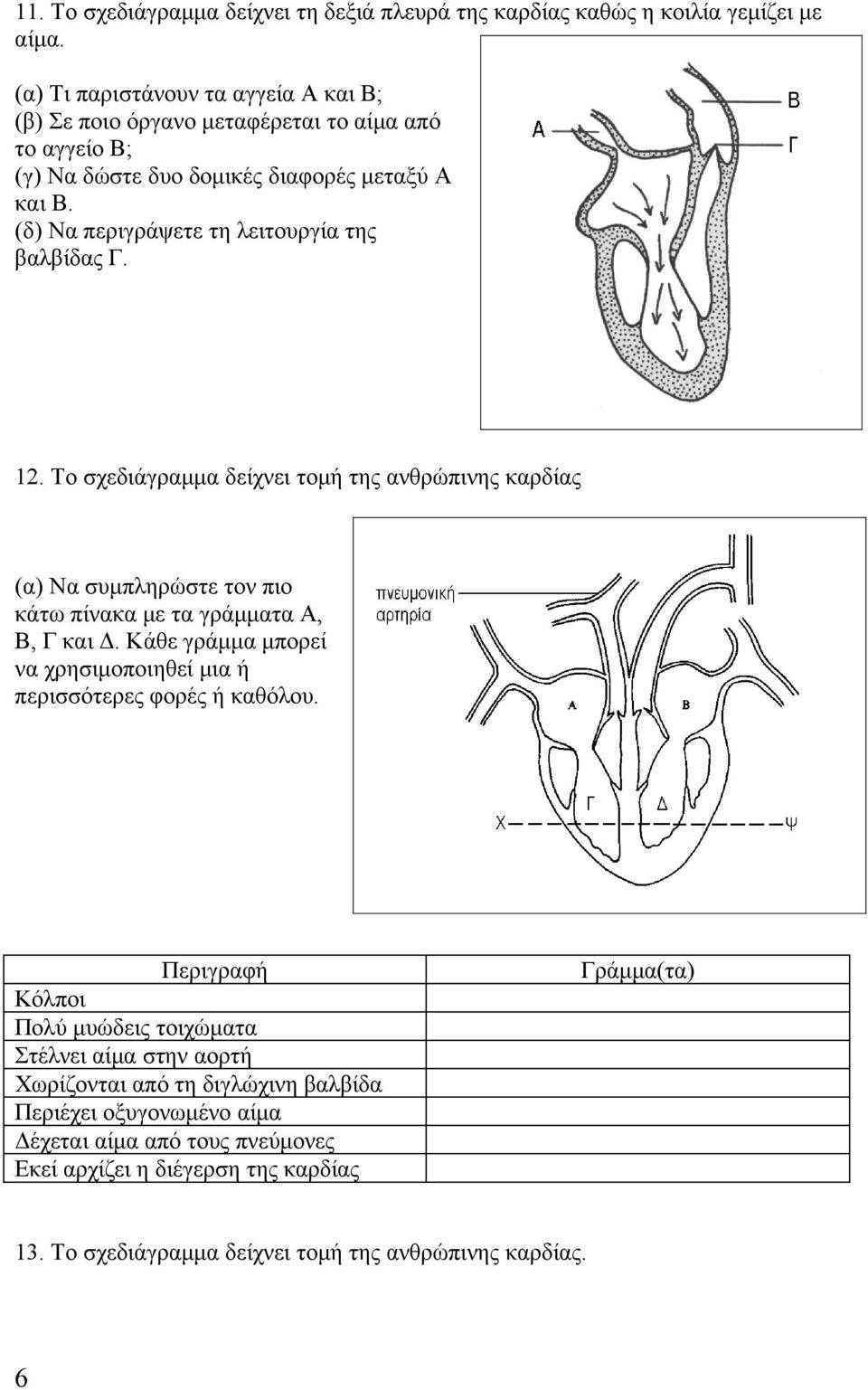 (δ) Να περιγράψετε τη λειτουργία της βαλβίδας Γ. 12. Το σχεδιάγραμμα δείχνει τομή της ανθρώπινης καρδίας (α) Να συμπληρώστε τον πιο κάτω πίνακα με τα γράμματα Α, Β, Γ και Δ.