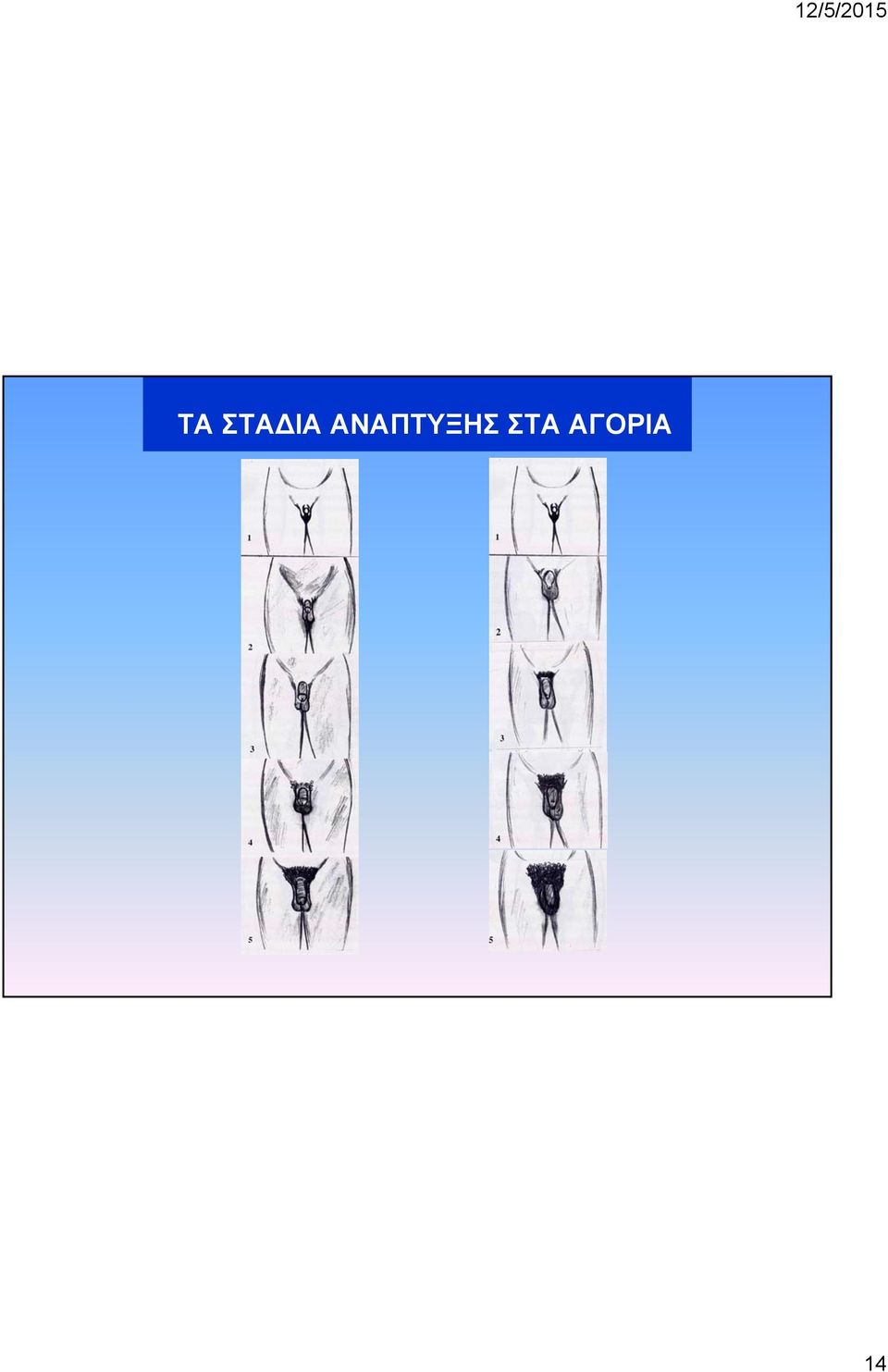 ΣΤΑ