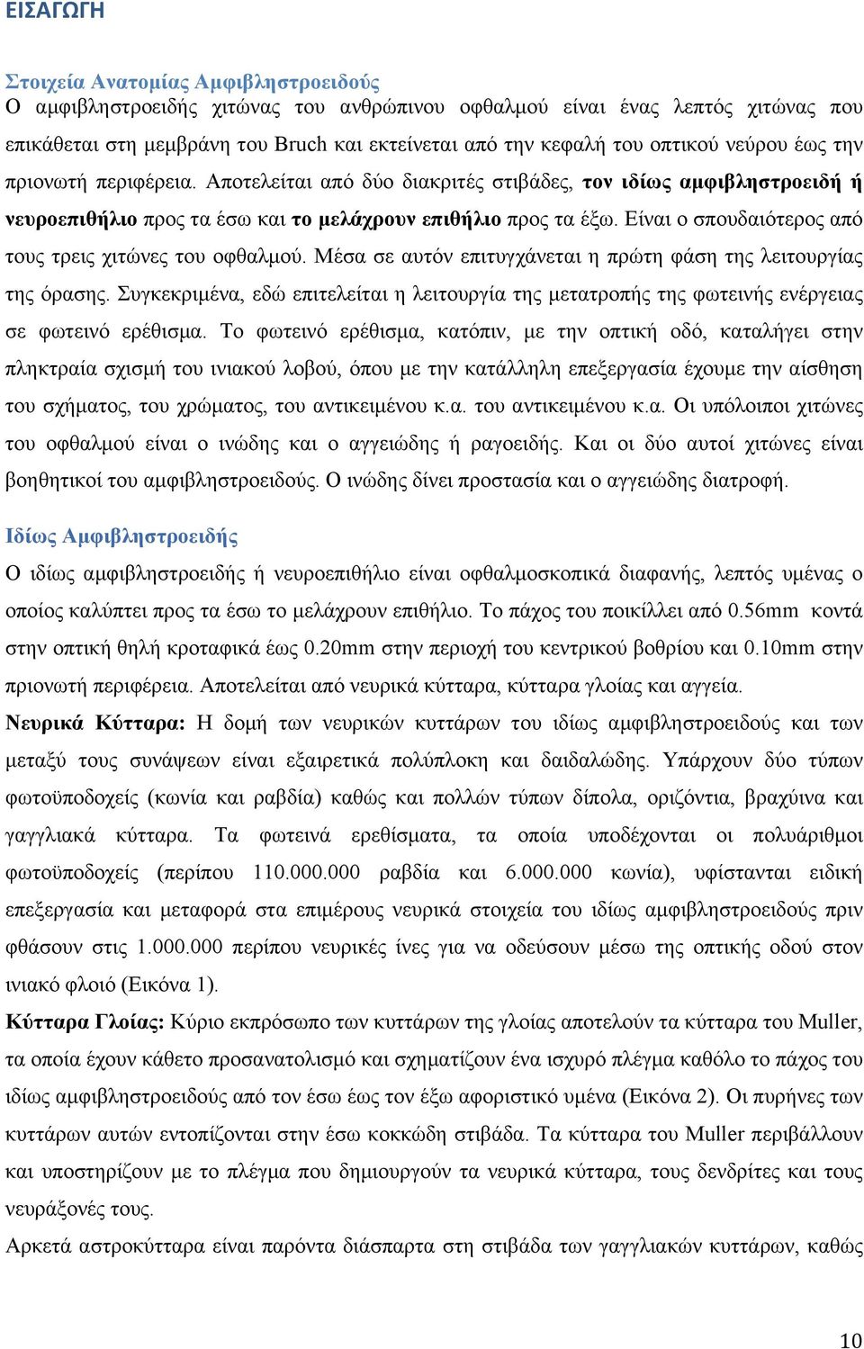 Είναι ο σπουδαιότερος από τους τρεις χιτώνες του οφθαλµού. Μέσα σε αυτόν επιτυγχάνεται η πρώτη φάση της λειτουργίας της όρασης.