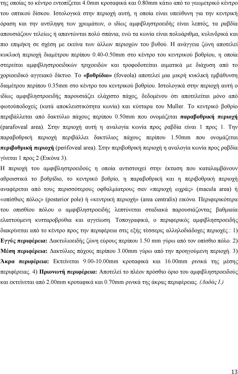 σπάνια, ενώ τα κωνία είναι πολυάριθµα, κυλινδρικά και πιο επιµήκη σε σχέση µε εκείνα των άλλων περιοχών του βυθού. Η ανάγγεια ζώνη αποτελεί κυκλική περιοχή διαµέτρου περίπου 0.40-0.