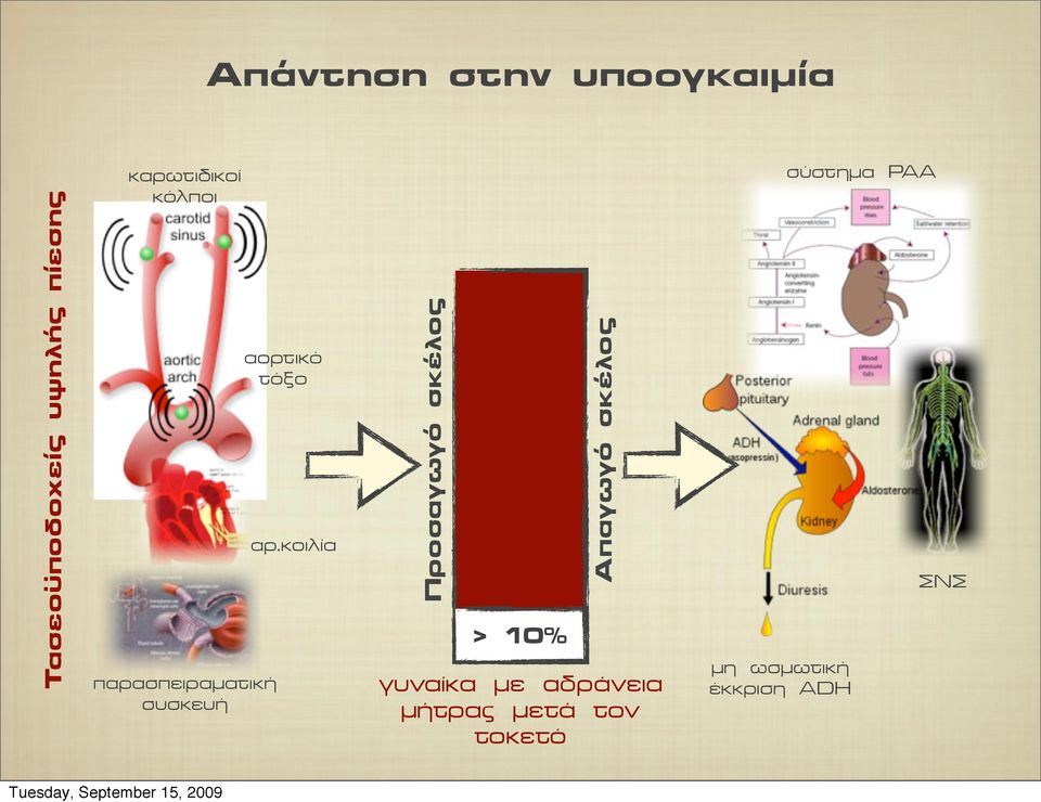 κοιλία Προσαγωγό σκέλος > 10% Απαγωγό σκέλος γυναίκα µε