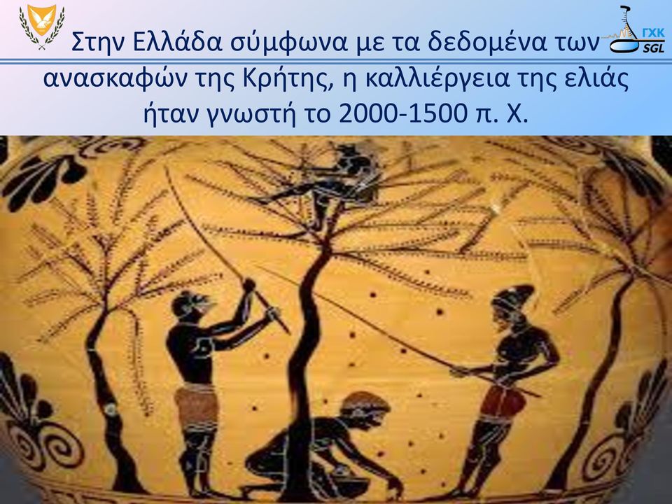 Κρήτης, η καλλιέργεια της